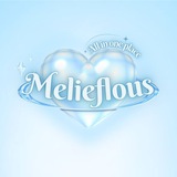 Melieflous, 24 hours! ✨