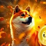 🦴Free~Doge Coin🚀