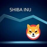 SHIBU_AUTO_PAY_BOT