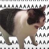 jian's assist