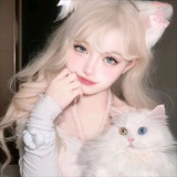 林芷【双向机器人】