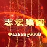 志宏查U