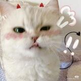 HIRMIN TEH V