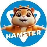 Hamster Coin Airdrop