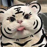 Ken