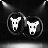 Dogs Drop 📌