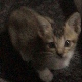Za.