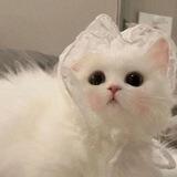 NAE!♡
