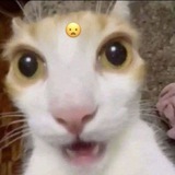 kemuy