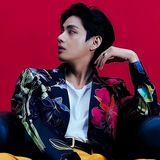 prince thv