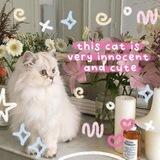 ૮꒰ ⑅ 𝐅isyaa ⑅ ꒱ა