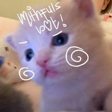 🐭☘☁️🫧
