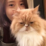 Lucy