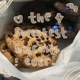 biscuit ˖◛⁺⑅♡