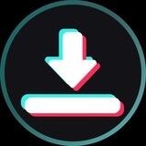 Tiktok Downloader No WM