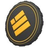 BUSD PAY BOT