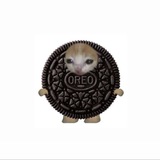 chocopie