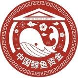 Chinese Pump Capital - Reviews [EN]