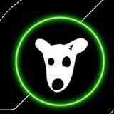 🚀Dogs Coin🦴