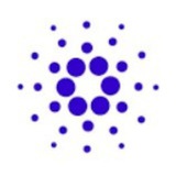 CARDANO AIRDROP