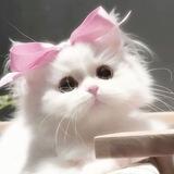 kay