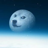 Doge Moon 🌚