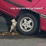 SENIN LIBUR YA CINTA