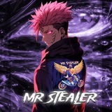 Mr Stealer Bot