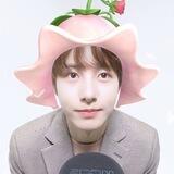 moonflower