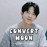 Convert Woon Bot