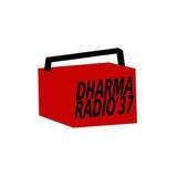 DHARMA RADIO'37 FEEDBACK