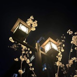Arie's
