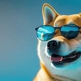 VipDoge_bot