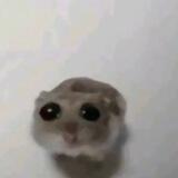 naneun..?