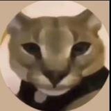 𝗛𝗘𝗖𝗞𝗘𝗥 𝗛𝗜𝗧 𝗦𝗘𝗡𝗗𝗘𝗥