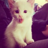sze