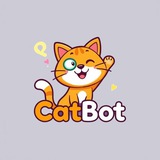 The Cat 😺