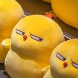 人间城双向机器人