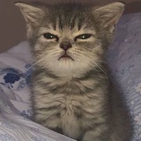 :p