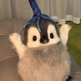 🐰