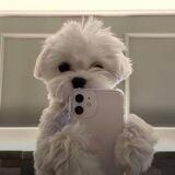 Jassie Here!