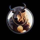 BULLRUN🐂