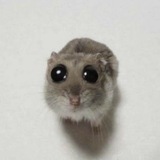 Jeyiyo