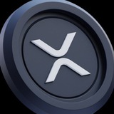XPR 🚀