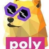Poly Doge Giveaway Bot🔥