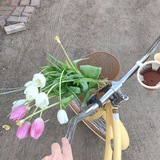 🌷🎀