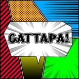 Gattapa's Cashier