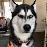 G e o