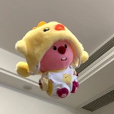 want to buy