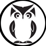 Owls Capital 🦉